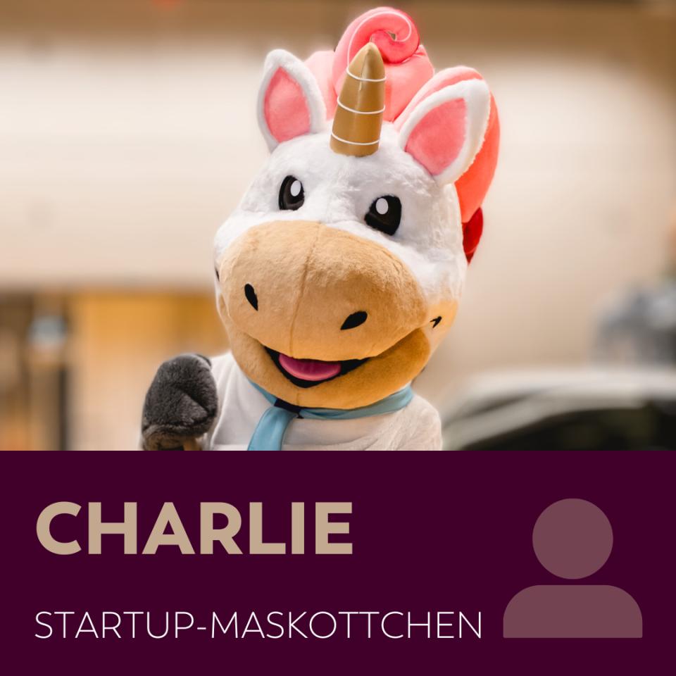 Heute erzähle ich dir, wie auch du ein Einhorn werden kannst (nur nicht so flauschig)!